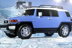 Toyota FJ Cruiser vẫn sống sót sau vụ hỏa hoạn lớn