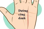 Dự đoán sự nghiệp, tiền tài qua đường công danh trong lòng bàn tay