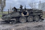 Quân Nga thu giữ xe bọc thép Stryker tại Kursk, Moscow thu món hời 