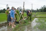 Giăng điện bẫy chuột làm chết người ở Thái Bình: Có thể truy tố hình sự?