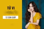 Tử vi ngày 19/10/2020 cho 12 con giáp: Sửu, Tý tiền bạc rủng rỉnh