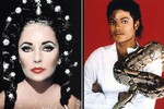 Bí mật tình bạn kỳ quặc của Michael Jackson và Elizabeth Taylor