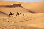 Loạt sự thật gây kinh ngạc về sa mạc Sahara nổi tiếng thế giới