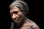 Giải mã bất ngờ: Người Neanderthals tuyệt chủng vì... săn bắt thỏ?