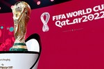 Vì sao World Cup 2022 phá lệ, tổ chức vào mùa đông ở Qatar? 