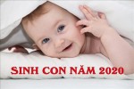 Đứa trẻ sinh năm Canh tý 2020 sở hữu hậu vận ra sao?