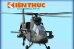 Infographic: Trực thăng tấn công OH-1 Ninja của Nhật Bản