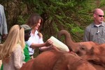 Video: Đệ nhất phu nhân Mỹ Melania Trump bị voi con húc vào người