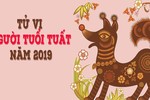 Video: 4 con giáp siêu may mắn trong năm 2019