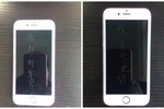 Mua 9 chiếc iPhone 6S khắc chữ trách tình cũ bội bạc