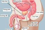 Nam giới càng lớn tuổi, càng dễ mắc ung thư tiền liệt tuyến