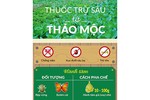 [Infographic] Cách làm thuốc trừ sâu bằng hành tăm, ớt, tỏi, gừng