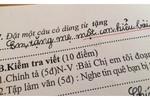 Học sinh đặt câu “Em tặng mẹ một con hiểu bài“ gây sốt