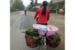 Mẹ đạp xe đi bán rau chở con trong chậu nhựa dậy sóng