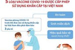 5 loại vaccine COVID-19 được cấp phép sử dụng khẩn cấp