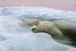 Loạt ảnh tuyệt đẹp đoạt giải cuộc thi ảnh National Geographic 2013