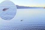 Thực hư cái chết của quái vật hồ Loch Ness