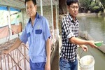 Những triệu phú... nông dân 8x