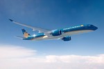 Va chạm ống lồng, máy bay Vietnam Airlines thủng vỏ động cơ 