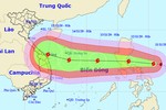 Bão Vamco đi nhanh, giật cấp 15, có khả năng ảnh hưởng đến Trung Bộ