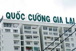 Nợ khủng, cổ phiếu Quốc Cường Gia Lai vẫn liên tục tăng trần