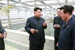 Ông Kim Jong-un tử hình giám đốc CV vì để rùa chết?