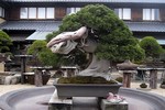 Đã mắt ngắm loạt bonsai cổ siêu đẹp, siêu dị