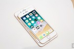 iPhone 8/8 Plus chỉ là “đòn” kích cầu cho iPhone X?