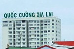 Quốc Cường Gia Lai biến động “khủng” thế nào trong năm 2018?