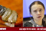 Ốc sên siêu nhỏ mới phát hiện được đặt tên theo Greta Thunberg