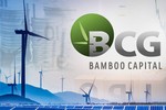 Bamboo Capital muốn thâu tóm Bảo hiểm AAA