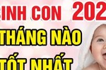 Sinh con năm Nhâm Dần 2022 tháng nào vượng nhất, tương lai trẻ làm quan? 