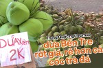 Dừa Bến Tre rớt giá, rẻ hơn cả cốc trà đá khi Trung Quốc thắt chặt nhập khẩu