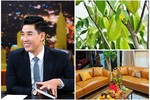 Ngắm hoa trái bên trong căn hộ của MC giàu nhất nhì showbiz Việt