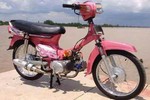 Ngắm dàn Honda Dream, Wave độ đậm nữ tính