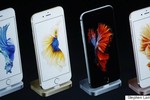 Giải mật loài cá bí ẩn xuất hiện cùng iPhone 6S