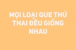 Những điều mà phụ nữ nào cũng nên biết về việc thử thai