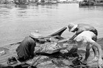 “Làng chài” Singapore thập niên 1960 qua ống kính quốc tế (2)