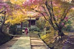 Ngẩn người trước vẻ đẹp mùa thu Kyoto năm 1990