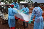 WHO: Dịch bệnh Ebola bị đánh giá thấp về quy mô