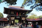 Chùm ảnh: Meiji Jingu - ngôi đền thiêng giữa thủ đô Tokyo 