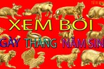 Xem bói tháng sinh âm lịch biết chính xác vận mệnh giàu nghèo sướng khổ 