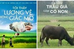 Cười ngất với ảnh chế “Tôi thấy hoa vàng trên cỏ xanh“