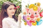 Tử vi tuổi Hợi trong năm Kỷ Hợi 2019 tốt hay xấu?