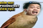 Ảnh chế Công Phượng tiếp tục hot sau trận Việt Nam - Iraq