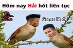 Dân mạng đua nhau chế ảnh "hoạ mi song Hải" sau chiến thắng Yemen