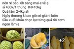 "Giải cứu sầu riêng' giá rẻ, thực hư thế nào?