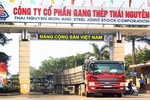 Bắt cựu Chủ tịch HĐQT và Tổng giám đốc Tổng công ty Thép Việt Nam