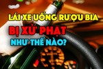 Tài xế uống rượu bia khi lái xe sẽ bị xử phạt như thế nào?