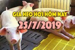 Giá heo hơi hôm nay 25/7: Giá heo ổn định, miền Trung tăng trở lại